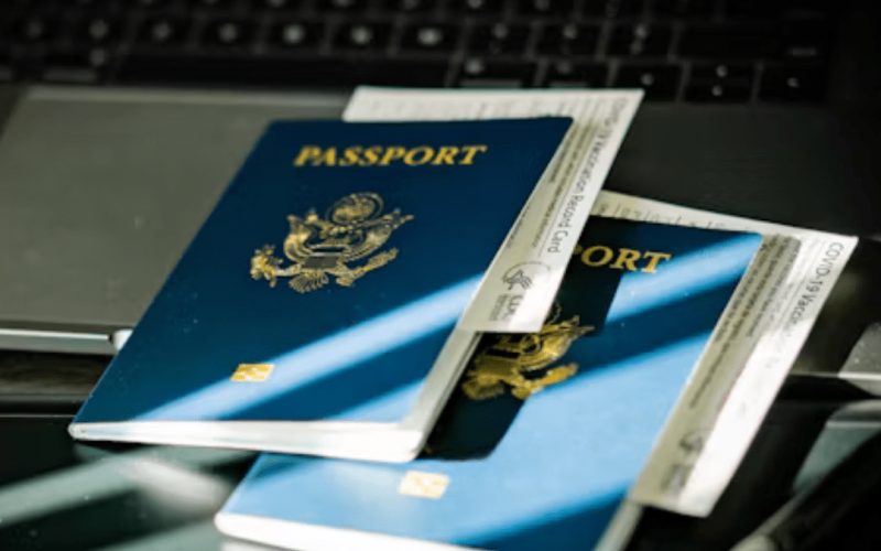 Visa Consultancy Services