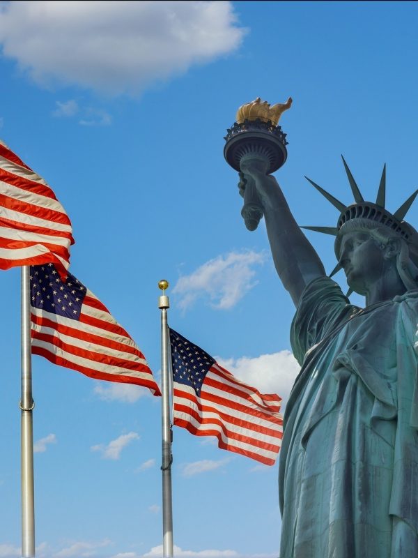 usa visa consultant